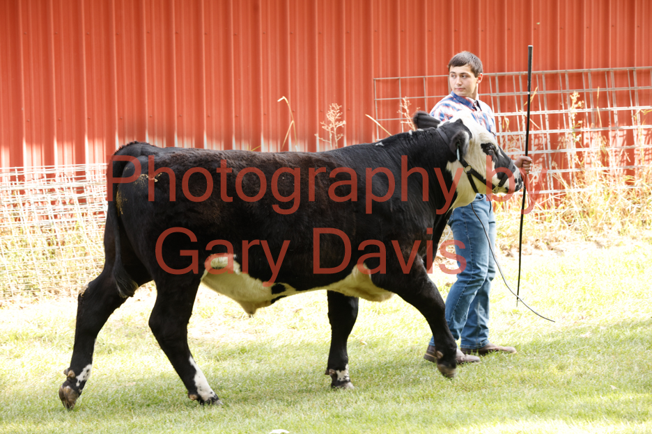_MG_0099 (2)